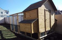 303335100_2_644x461_kuryatnik-fotografii