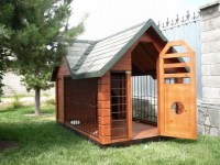 a7b081b7e36dbcdf402fc56e9c8e8c3b